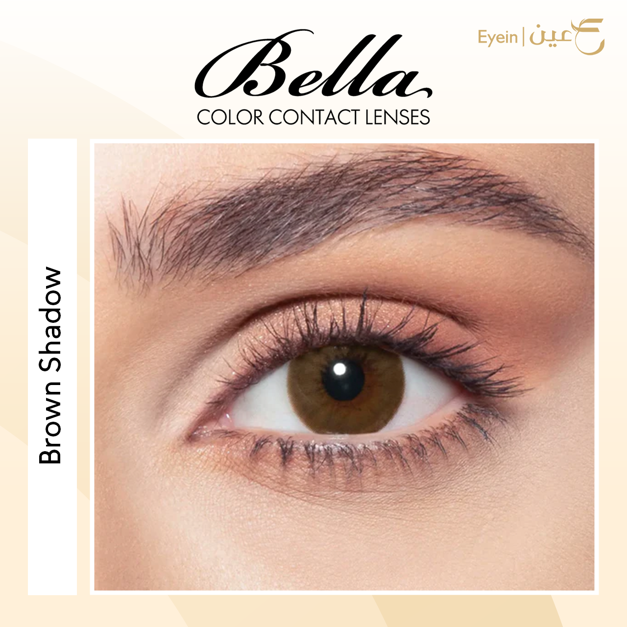 عدسات بيلا - دايموند - براون شدو